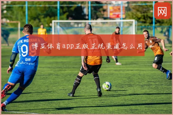 博亚体育app正版正规渠道怎么用