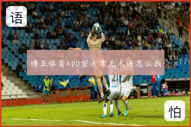 博亚体育app官方常见术语怎么找